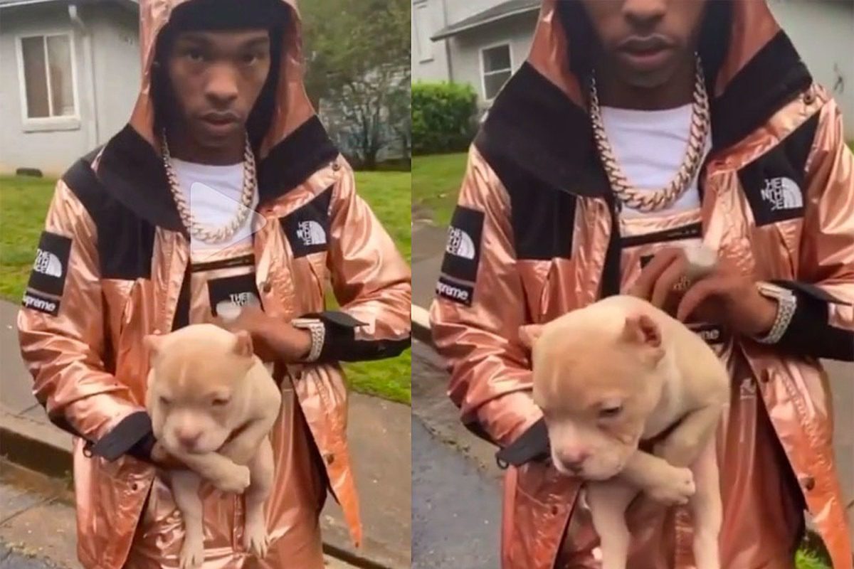 Lil Baby Helps His Friend Launch a Dog Breeding Business