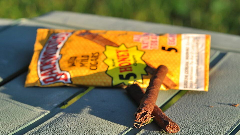 FDA to Ban Flavored Backwoods and Menthol Newports