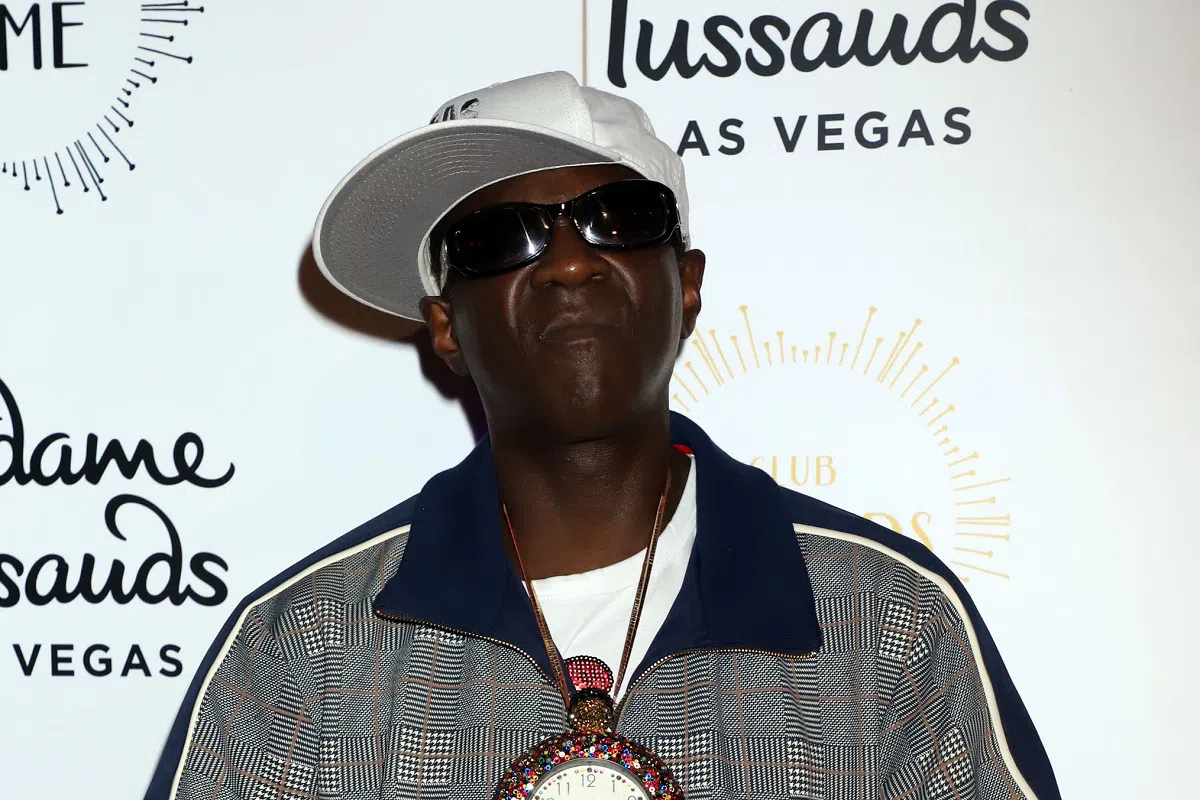 Flavor Flav Arrested For Domestic Battery
