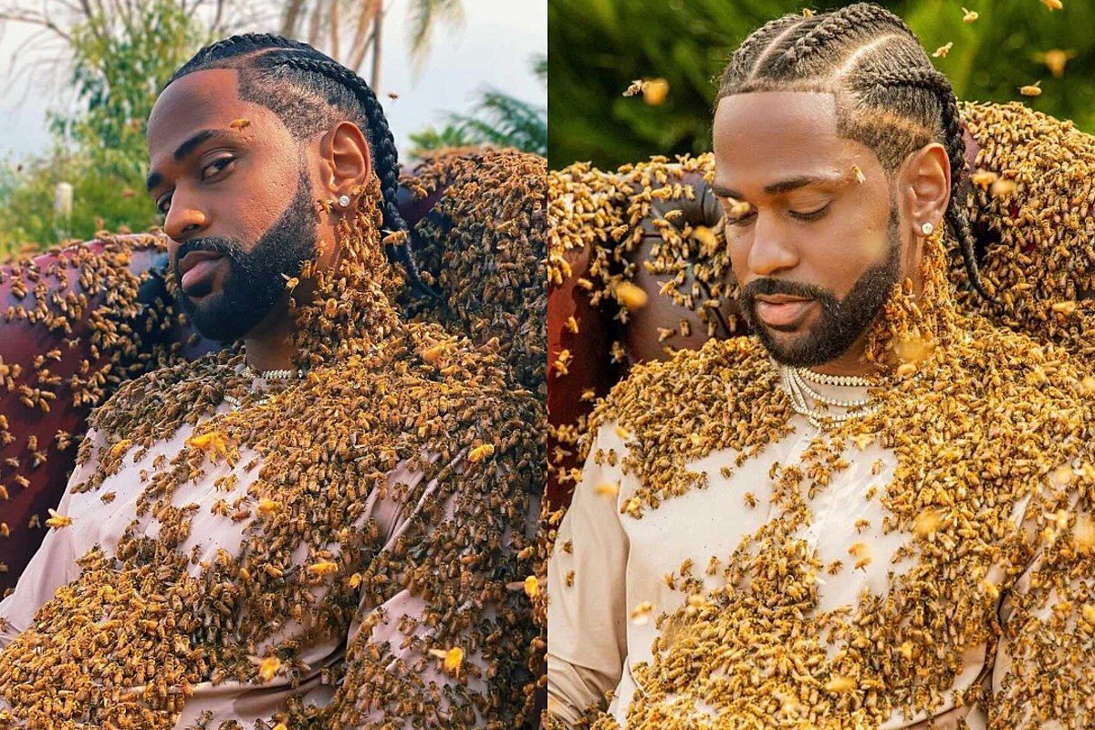 Big Sean Poses With 65,000 Bees Directly on Him for New Video – Watch