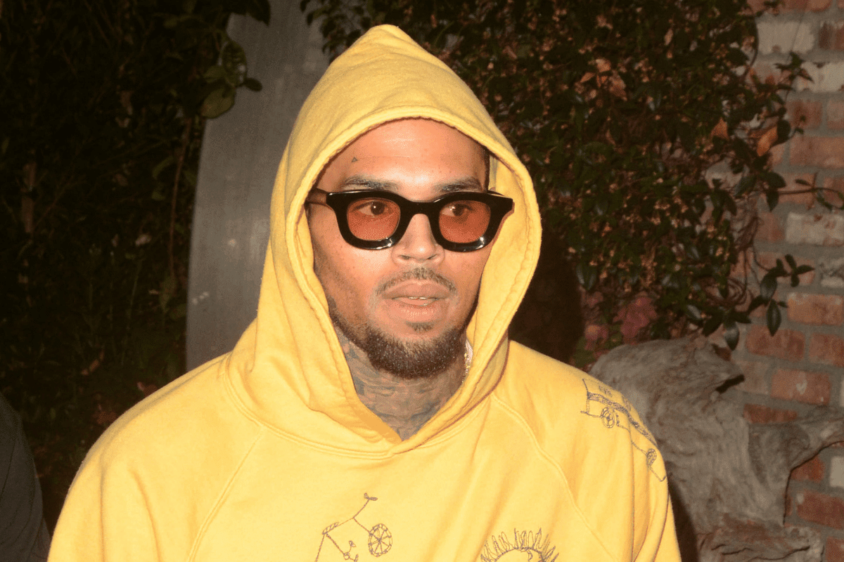 Chris Brown Allegedly Drugged & Raped Woman, Sued for $20 Million