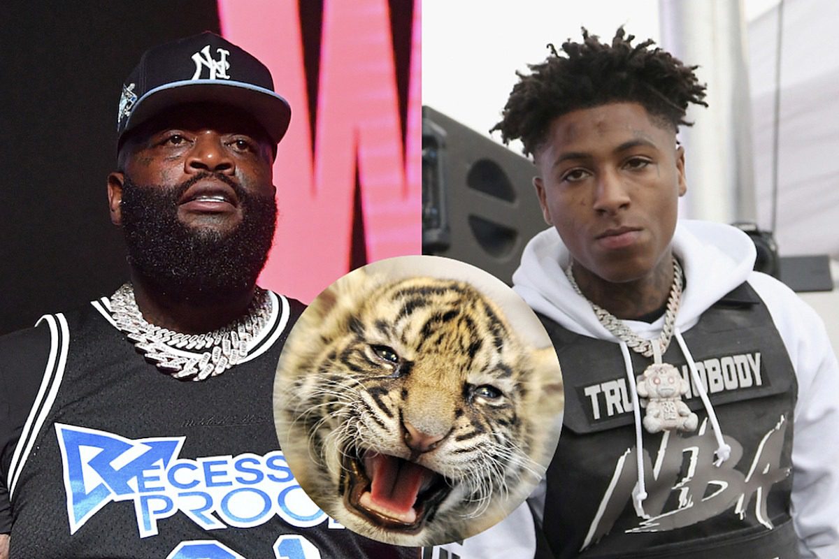 Rick Ross Reveals YoungBoy Never Broke Again Gave Him a Baby Tiger But He Had to Get Rid of It