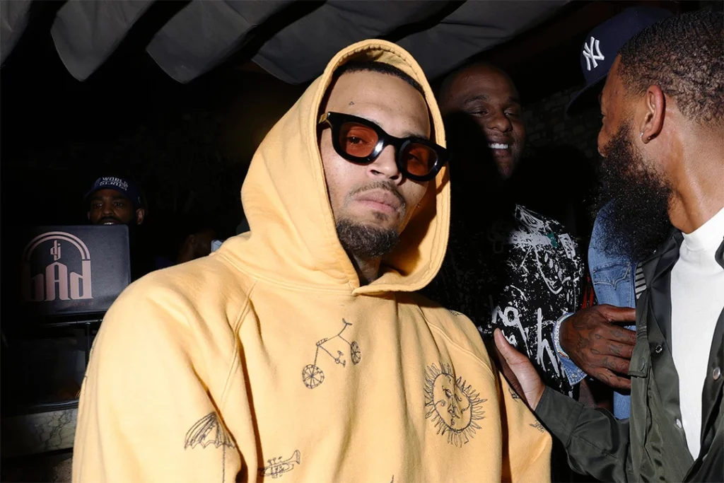 Chris Brown Accused of Attacking Concertgoers, Hit With Lawsuit