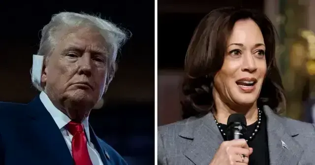 Kamala Harris Roasts Donald Trump for Going ‘Off Script and Rambling’ at Campaign Events: ‘He Has No Plan’