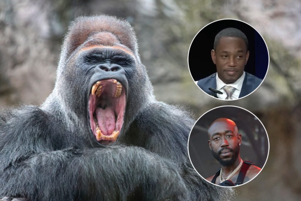 Rappers Weigh In on the Raging 100 Men vs a Gorilla Debate