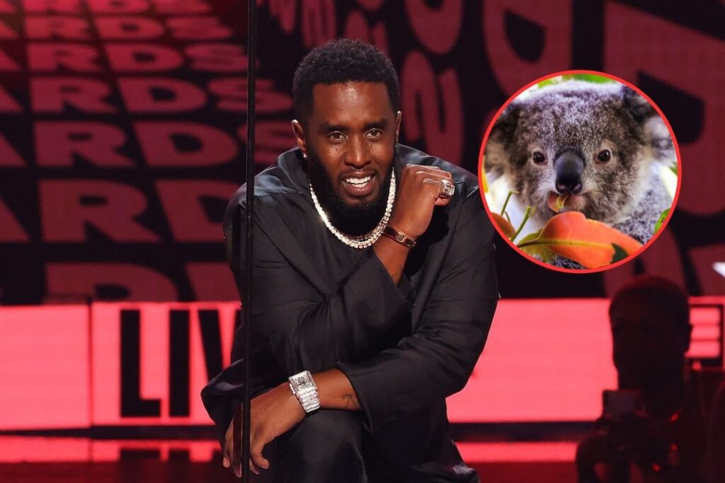 Diddy Jokes About Courtroom Sketches Depicting Him as a Marsupial
