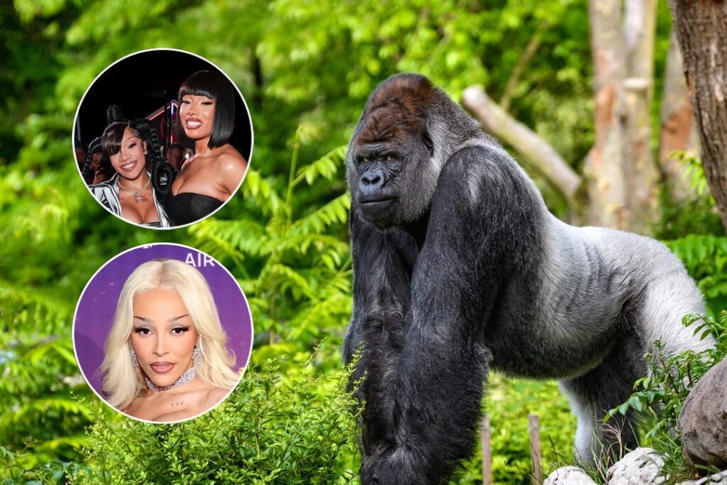 100 Women vs 1 Gorilla – GloRilla, Doja Cat and More Lead Charge