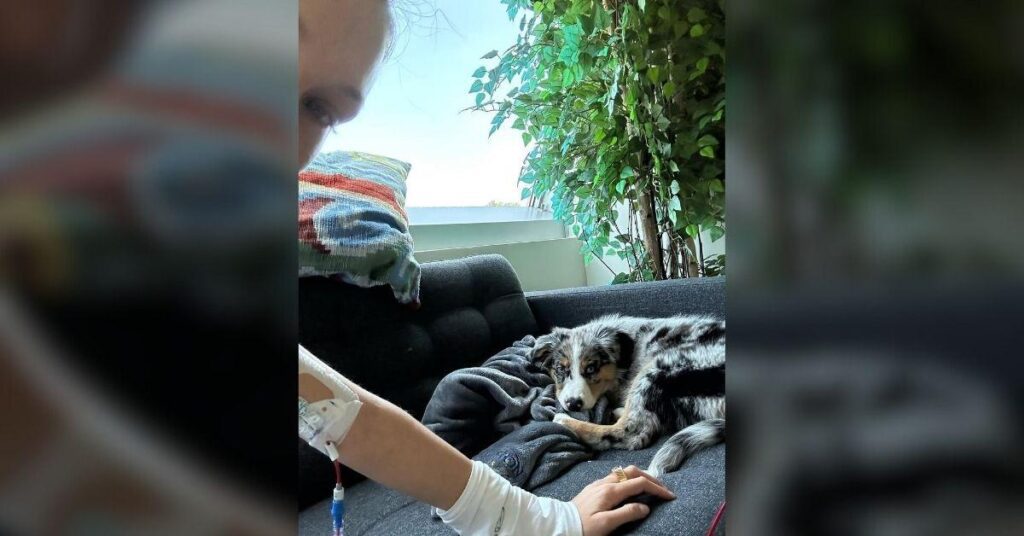 Photo of Bella Hadid praised herself for not giving up after going '15 years' of quiet suffering.