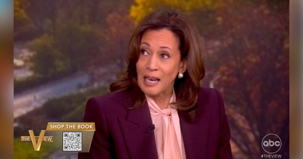 Photo of The former vice president doesn't think her 2024 appearance on 'The View' 'tipped the election.'