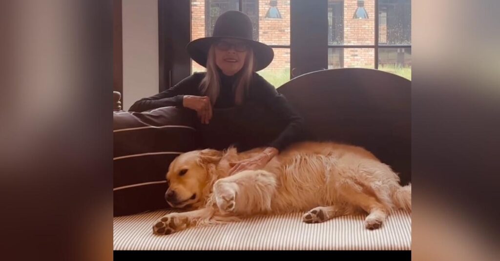 Photo of The late mother-of-two used to post several photos and videos of Reggie on her Instagram page.