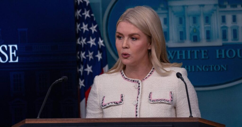 Image of Karoline Leavitt was criticized on social media.