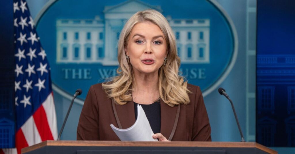 Image of Bruna Caroline Ferreira's lawyer insisted his client is 'not a criminal.'