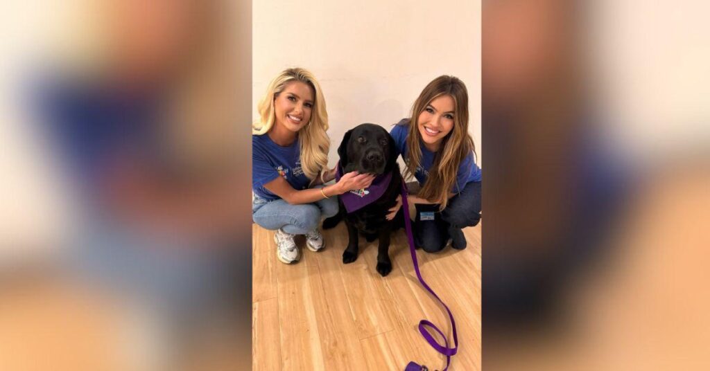 image of Mary Bonnet doesn't think Emma Hernan and Chrishell Stause will make up.