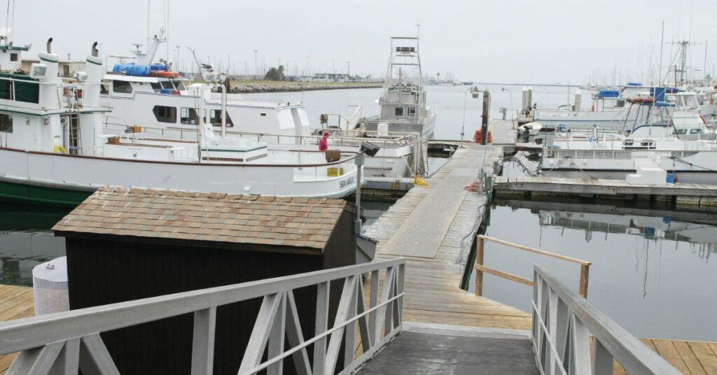 patrick mcdermott mysterious disappearance years ago what to know