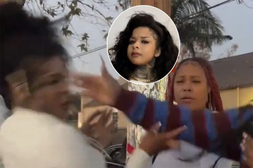 Video of Chrisean Rock Slapped by a Woman, Fighting Many People