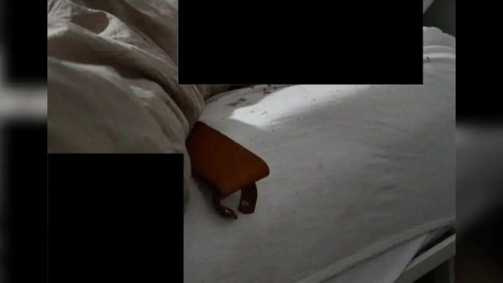 image of A redacted photo showed the knife sheath was left next to Madison Mogen's body.
