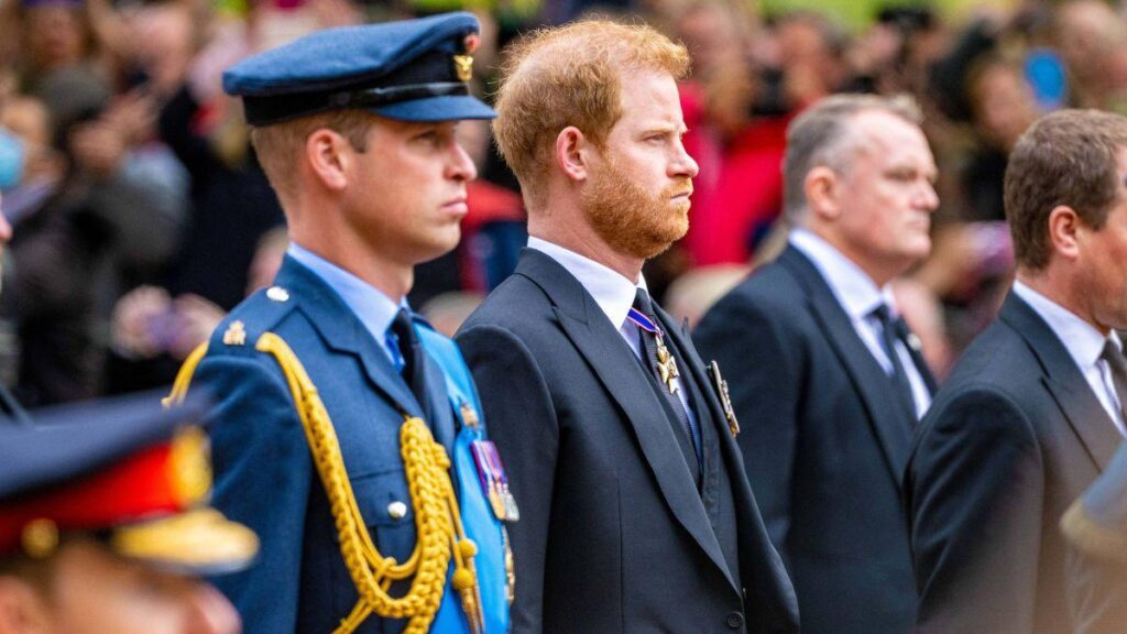image of prince harry and prince William
