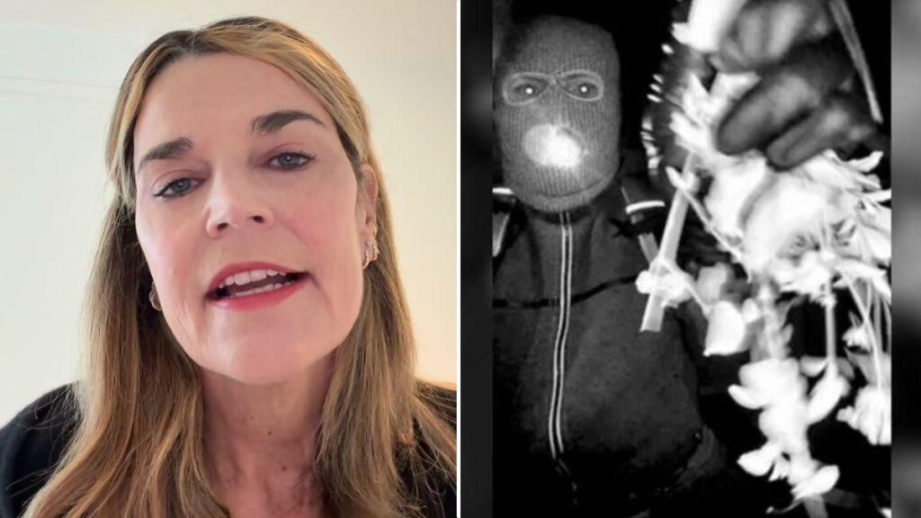 image of Nancy Guthrie was last seen on January 31.