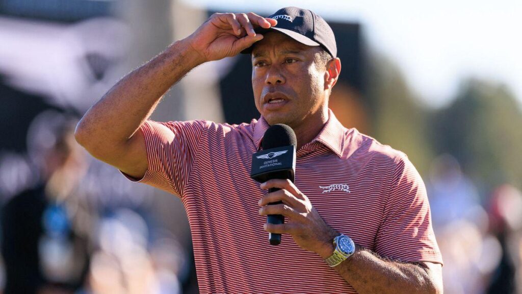 Image of Tiger Woods recently received lumbar disc replacement surgery on his lower back.