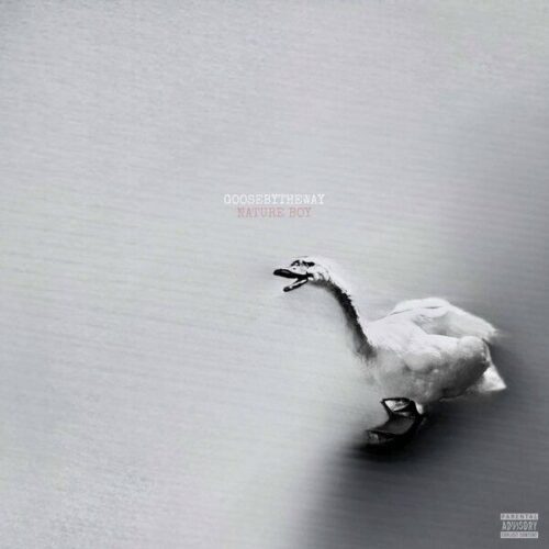 Nature Boy: Goosebytheway Delivers a Refined Studio Debut